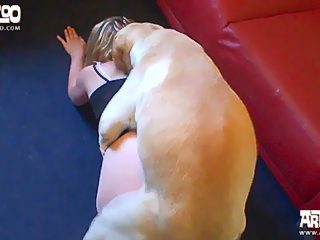 Girl sex with animal