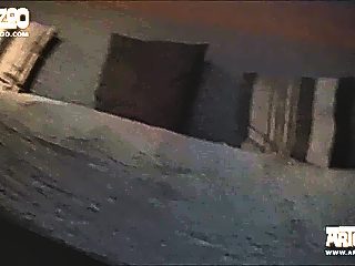 First time animal porn