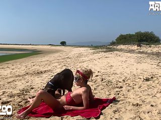 Public beastiality porn