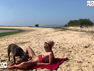 Public beastiality porn