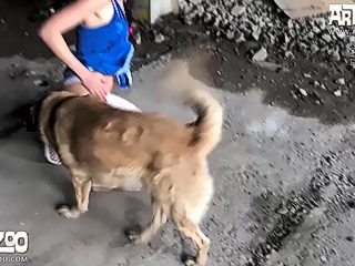Animal sex teen