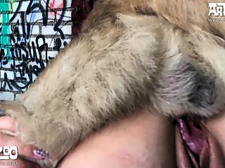Animal sex teen